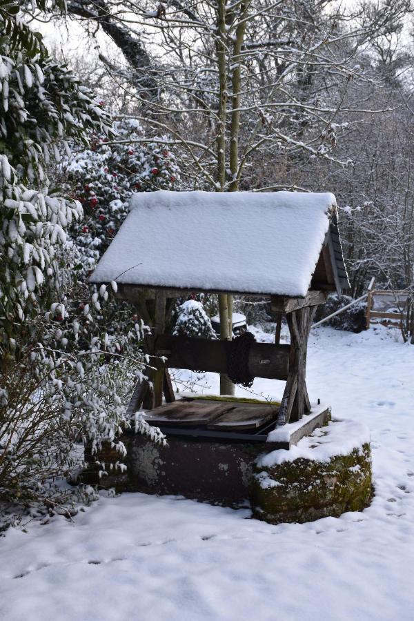 Manoir Le Courtillon Le Pont Rean Bagian luar foto